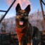 Dogmeat