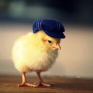 ПОМОЩНИК АДМИНА