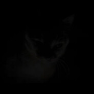 Powerful Peenar Guy avatar