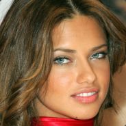 кошачий корм