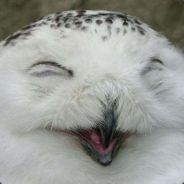 ><