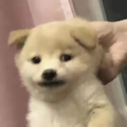 九奈卡网货源站