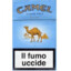 Camel