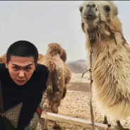 她说是二战炸黑的