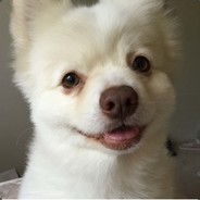 kazu