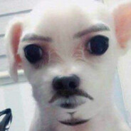 El bigote