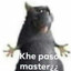 Khe paso master¿¿