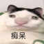 黑猫