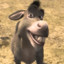 Donkey