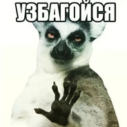 ᅠᅠᅠᅠᅠᅠᅠᅠᅠᅠ avatar