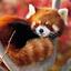 RedPanda818