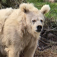 心动一次因为白丝