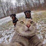 医宝卡给你打欠费