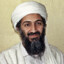Osama Bin Lagging
