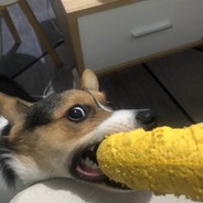 你永远可以相信周圣杰