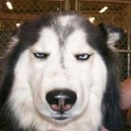 北京骑电瓶车三人不带头盔被罚150