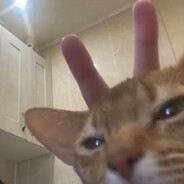 show me bubs