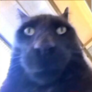 wtf_brent-TTV