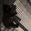 Rusky