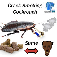 CCP#1 COCKROACH CRACK #CHINA 1