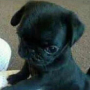 Juninho Ruindade Pura