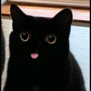 Definitely NOT a cat