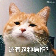 皮皮崽:无敌是多么 多么 寂寞！！！