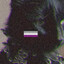 punkcat