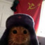 sqaq8