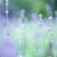 队友非要做任务