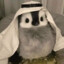 zoyinn