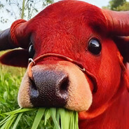 沙二顶级突破牛之红牛