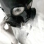 =^. .^=∫