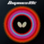 Dignics