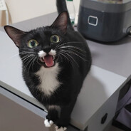 我来这里只干一件事