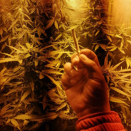 ✫ Mathias ( Th3 R3al ) V.a ♚