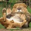 Zeliox