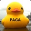 Pagaduck