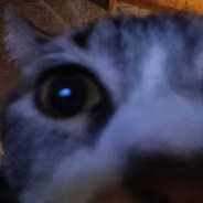 Tobi