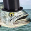 EpsilonFishGuy