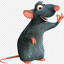 RATOVELOZ