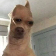....