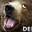 the mystical beartar