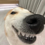 Klempa - steam id 76561199204742577