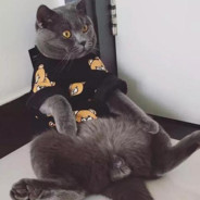 咻咻咻咻咻咻咻咻咻咻