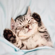 阿杰啊  要变强