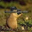 Hellbent Prarie Dog