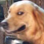 我永远喜欢Last Order