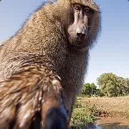 你得皮包割了吗？