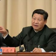 你说的枪是什么枪